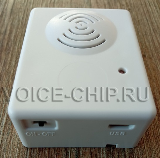 Свето-звуковой модуль