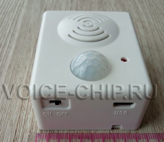 Свето-звуковой модуль